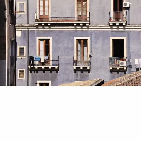 Gemme Di Zagara Catane